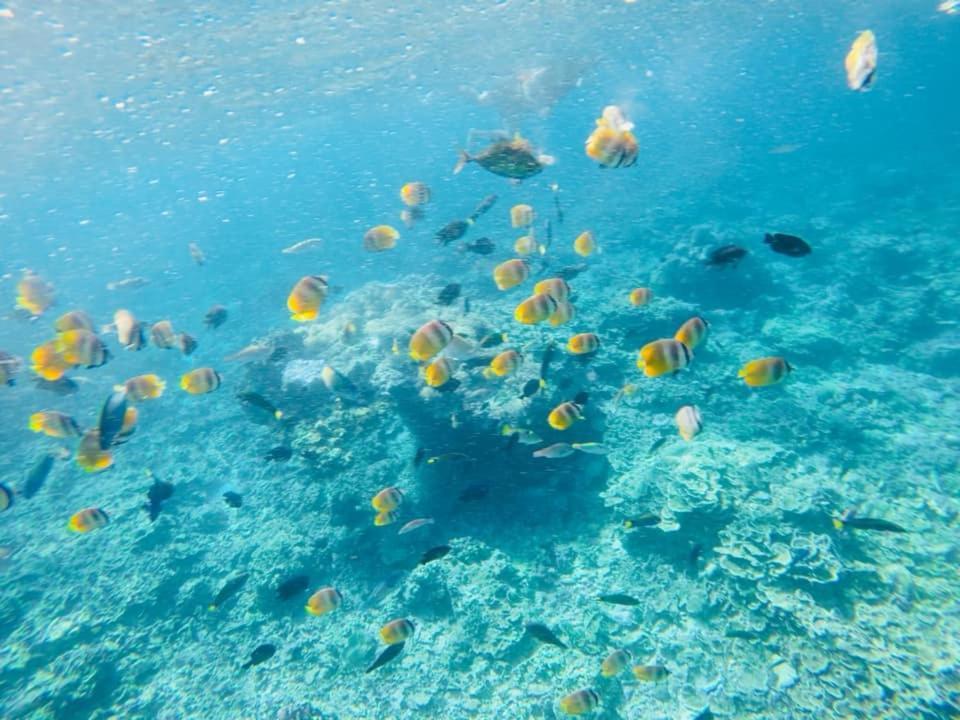 Sealovers' Place Masasa Beach Batangas Buitenkant foto